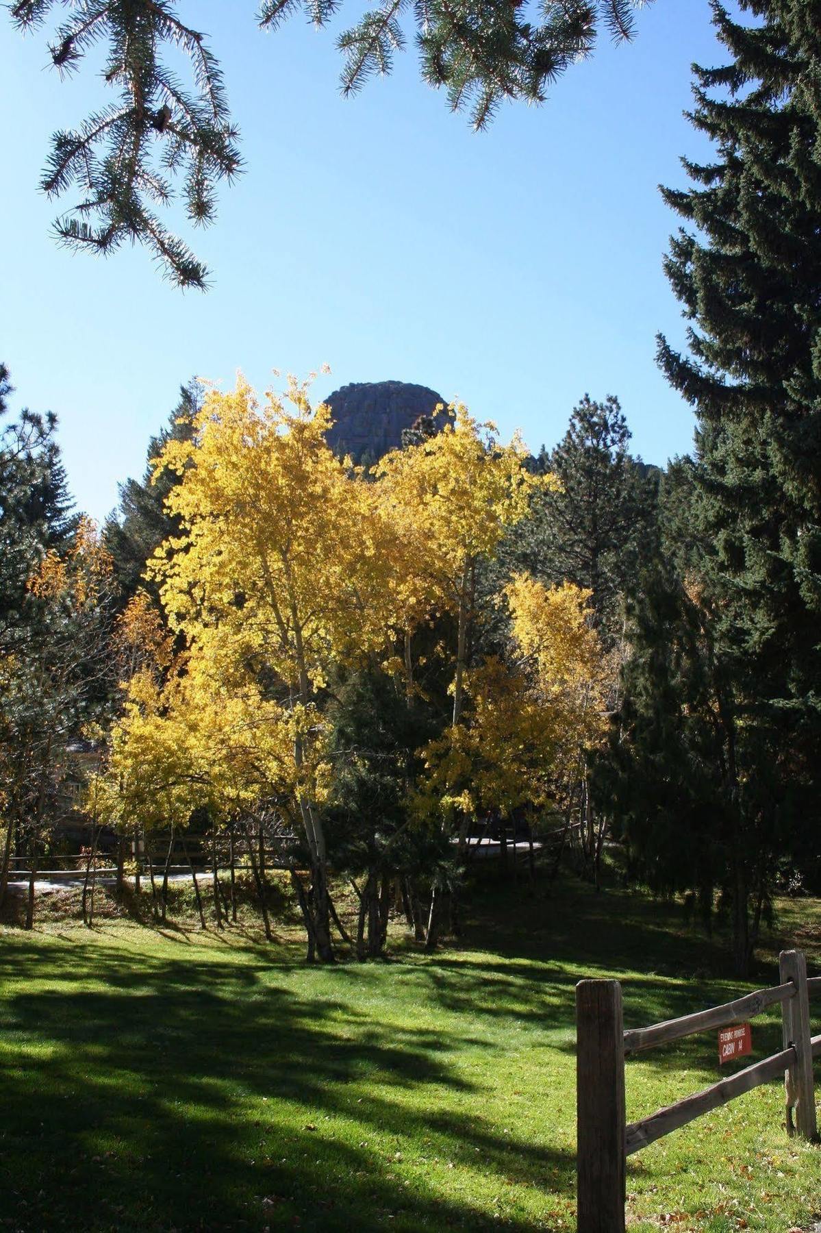 Streamside On Fall River Estes Park Zewnętrze zdjęcie