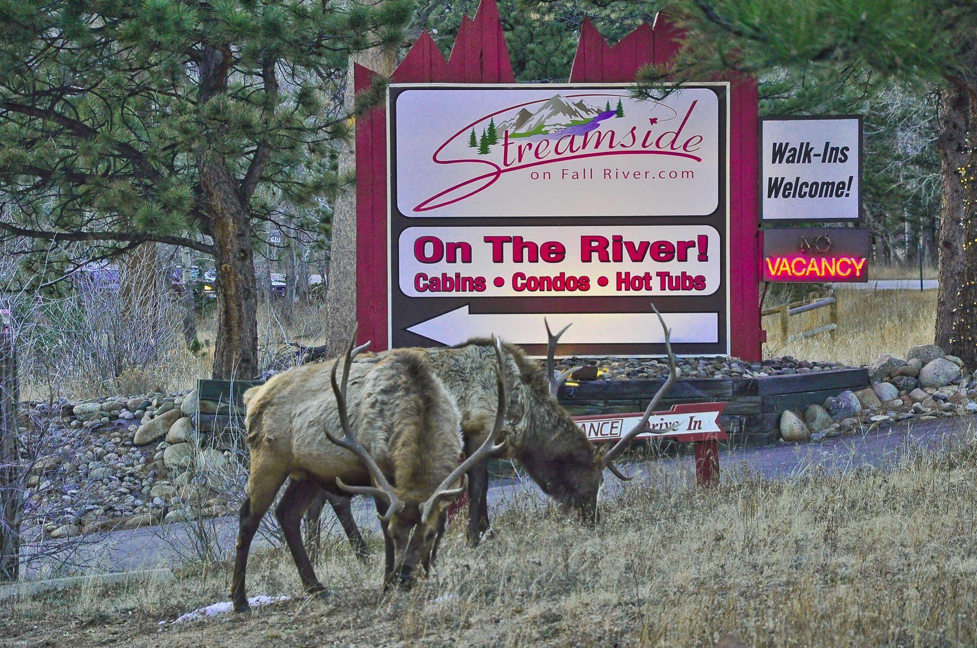 Streamside On Fall River Estes Park Zewnętrze zdjęcie
